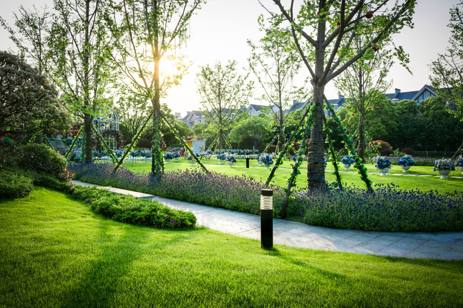Landscape design